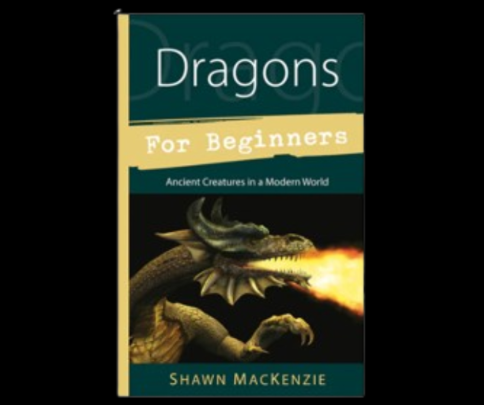 Dragons for Beginners