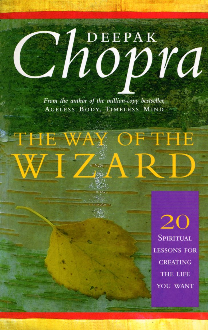 Way of the Wizard